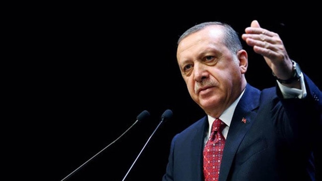 Cumhurbaşkanı Erdoğan'dan o çağrıya tam destek...