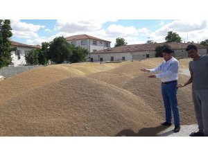 Günlük 800 ton buğday ve arpa sevkiyatı yapılıyor