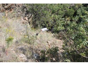 25 metrelik uçuruma yuvarlanan araçtaki 4 kişi yaralı kurtarıldı