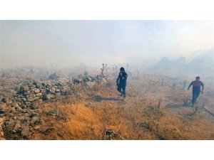 İtfaiye, Bodrum yangınına 56 personelle müdahale etti