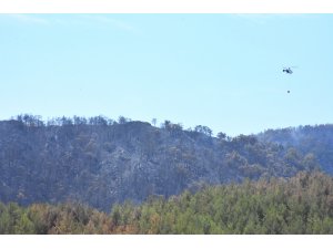 Muğla'daki orman yangını