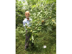 Camide öz kardeşini öldürdü