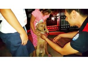 Yavru köpeğin imdadına itfaiye yetişti