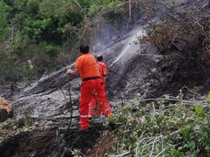 Bingöl’de 2 ayrı  yangın söndürüldü