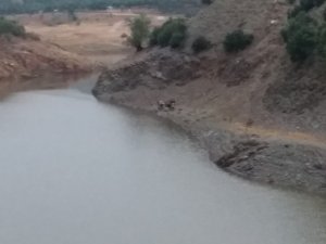 Gölde ceset bulundu