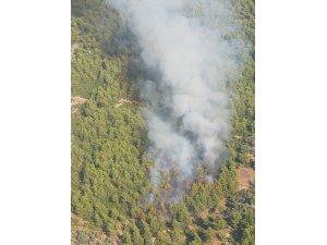 GÜNCELLEME - Muğla'da orman yangını