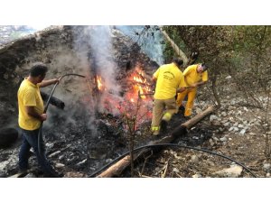 Manisa Spil Dağına düşen yıldırım ormanı küle çevirecekti