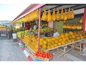 Kırkağaç kavunu, AB’den coğrafi işaret almaya hazırlanıyor