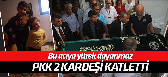 PKK'nın bombası 2 kardeşi öldürdü!