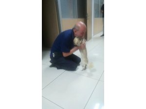 Köpeğine böyle kavuştu