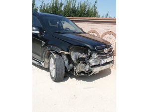 Isparta’da otomobilin çarptığı domuz telef oldu