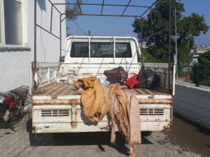 Ayvalık’ta 65 göçmen jandarmadan kaçamadı