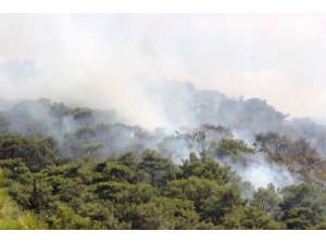 Bodrum’un akciğerleri yanıyor