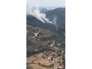 GÜNCELLEME - Bodrum'da orman yangını