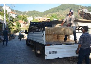 Saman fiyatları el yakıyor