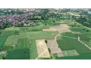 Samsun, Türkiye’nin sebze ve meyve ambarı