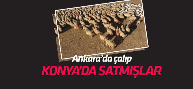 Ankara'da çalıp Konya'da satmışlar