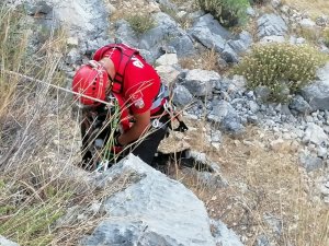 AKUT’tan keçi kurtarma operasyonu