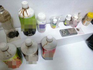 Evini kenevir tarlasına çevirmiş