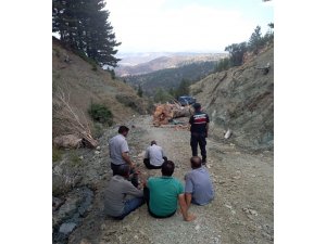 Kesilen ağacın altında kalan işçi hayatını kaybetti