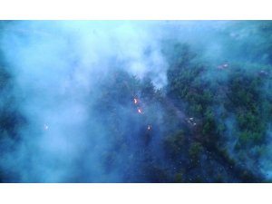 Muğla’da ve Aydın’da ’Yıldırım’ yangınları