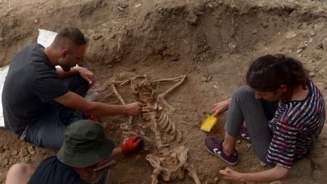 Sinop'ta bulunan rahatına düşkün iskelet şaşırttı!