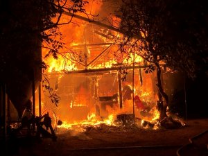 Samanlıkta büyük yangın: 5 Büyükbaş hayvan telef oldu