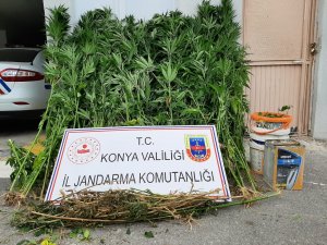 Beyşehir'de uyuşturucu operasyonu