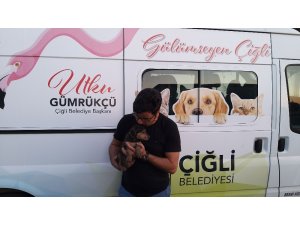 Yavru köpek 5 metre derinlikten kurtarıldı