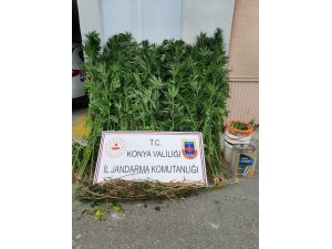 Beyşehir’de jandarmadan uyuşturucu operasyonu