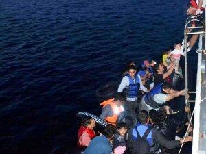 Ayvalık’ta 40 mülteci yakalandı