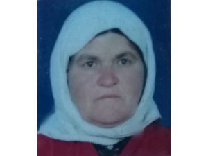 Ormanda toplanan mantardan yiyen kadın hayatını kaybetti