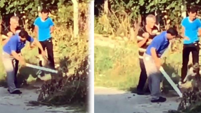 Yavru köpeği sopayla dövdü 3 bin 897 TL ceza ile kurtuldu