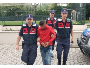 Tırların dorselerindeki soğutucu kartlarını çaldı