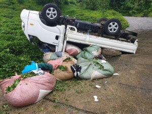 Rize'de kamyonet devrildi: 8 yaralı