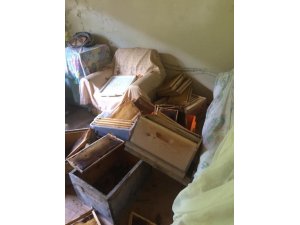 Pencereden eve giren ayı eşyaları parçaladı