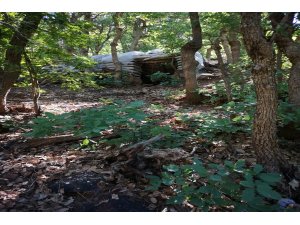 Pençe Harekatı’nda teröristlere büyük darbe