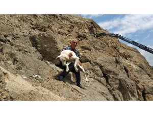 Uçurumda köpek kurtarma operasyonu
