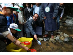 Fırtına Deresi'ne 7 yılda 1,5 milyon balık bırakıldı