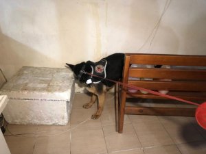 Başkent’te “sahte içki” operasyonu