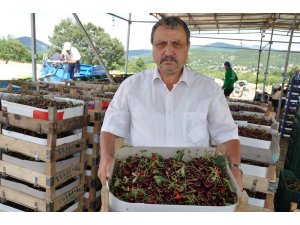 Simavlı vişne üreticisi dertli