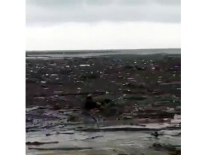 Sele kapılan köpeği vatandaş yüzerek kurtardı