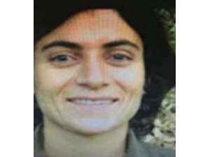 Diyarbakır'daki terör operasyonu