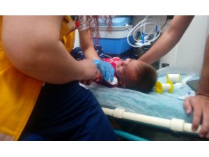 Akrebin soktuğu çocuk hastaneye kaldırıldı