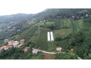 Karadeniz insanını zorluklar hiç yıldırmıyor