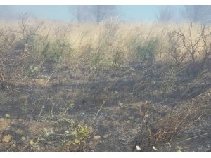 Erdek’te çöplük yangını korkuttu