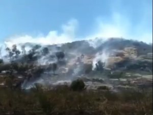 Alaçatı’da makilik yangını ucuz atlatıldı