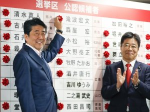 Japonya’da üst meclis seçimlerini Abe kazandı