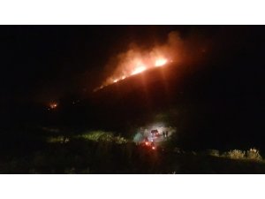 Aydın’da yangın; Makilik alanda başlayan yangın ormana doğru ilerliyor