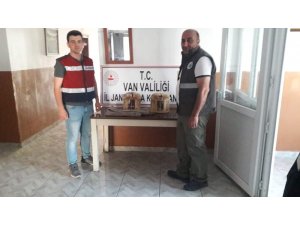Muradiye ilçesinde kaçak avlanmış 2 keklik ele geçirlidi